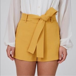 Aritzia Wilfred tie-front short